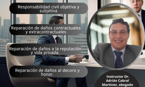Curso Responsabilidad Civil y Daño Moral